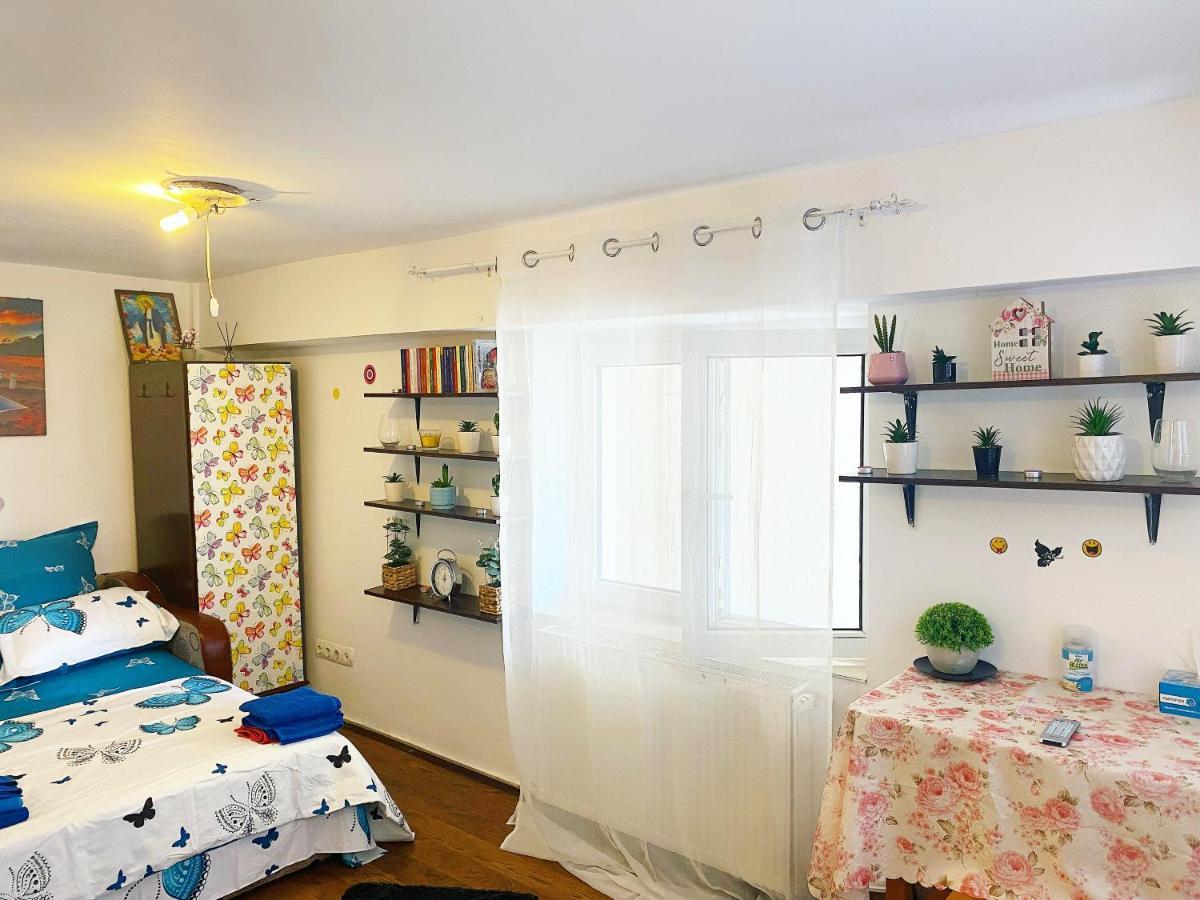 Appartamento Casa Andu Bucarest
